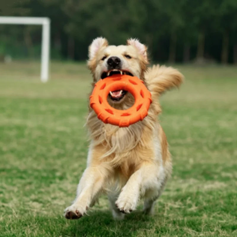 TPR Dog Pull Ring – Durable Interactive Chew Toy