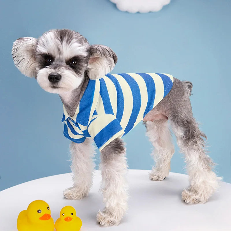 Casual Polo Shirt for Dogs & Cats