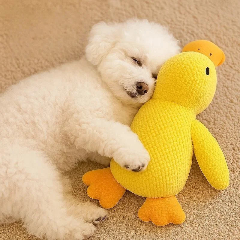Plush Duck Dog Toy – Squeaky Teething Chew Toy