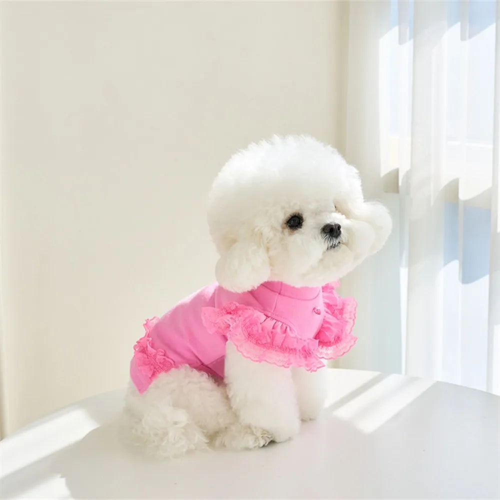Lace Summer Vest Dress for Dogs and Cats