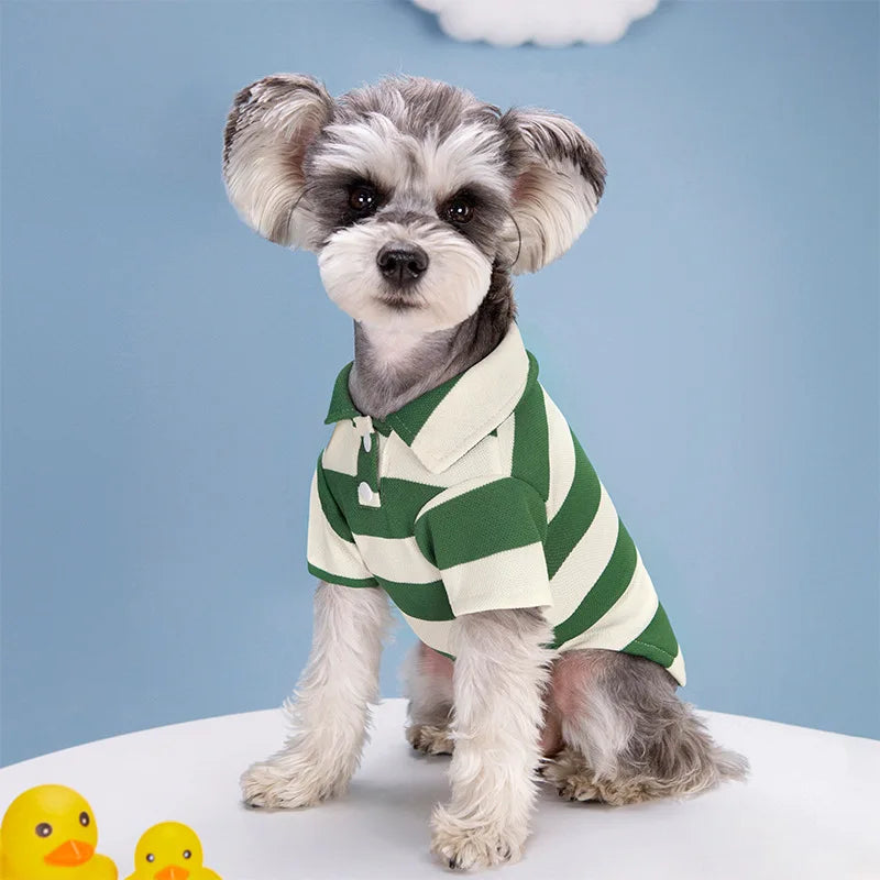 Casual Polo Shirt for Dogs & Cats