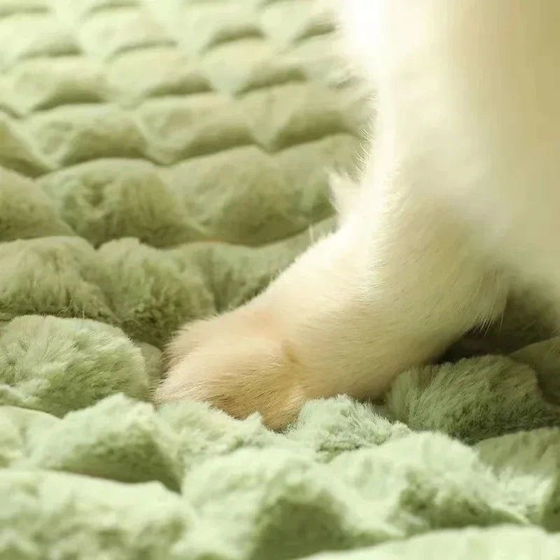 Machine-Washable Orthopedic Memory Foam Pet Bed