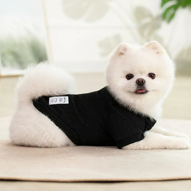 Lightweight Pet T-Shirt for Dogs and Cats