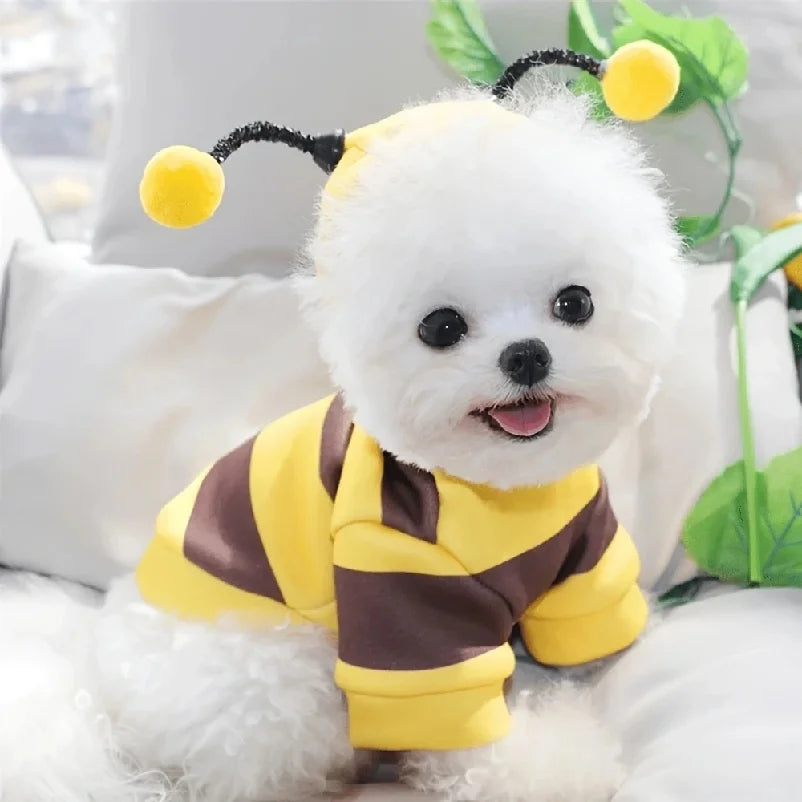 Cute Bee Costume Pet Hoodie & Sweater