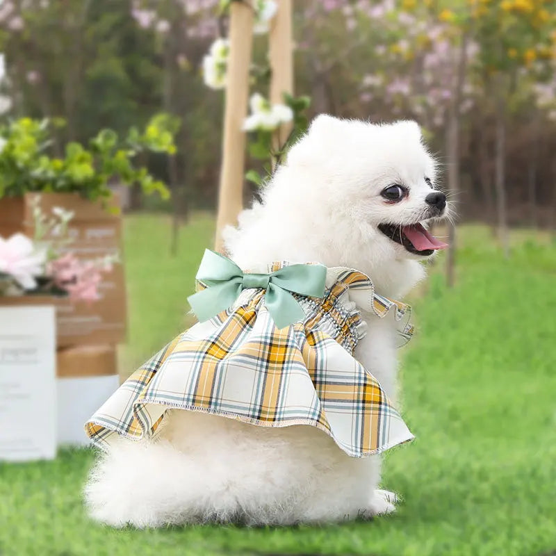Checkered Princess Dress for Dogs & Cats