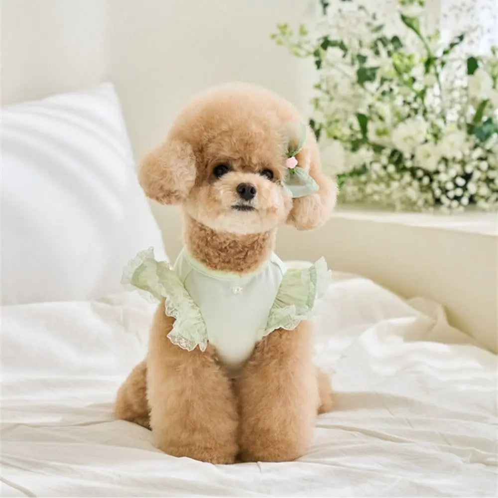 Lace Summer Vest Dress for Dogs and Cats