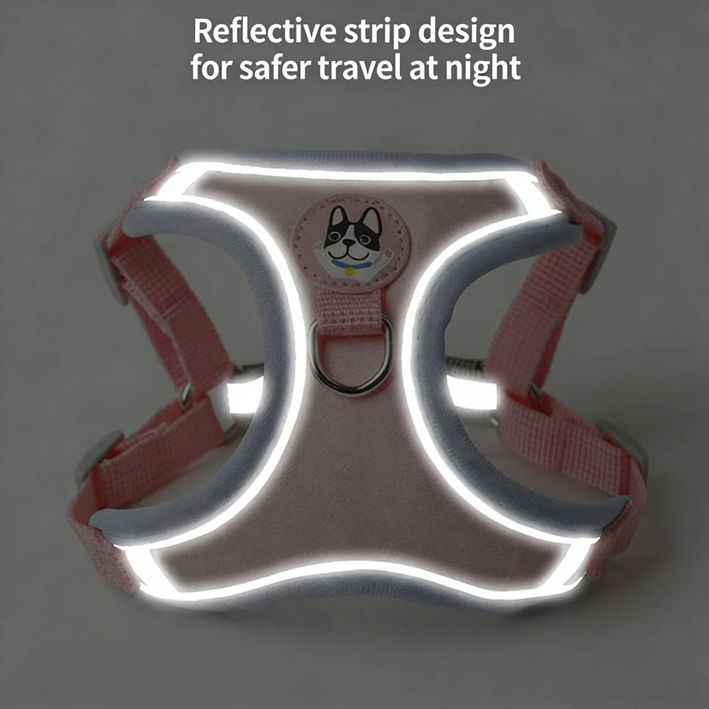 Adjustable Dog Harness & Leash Set
