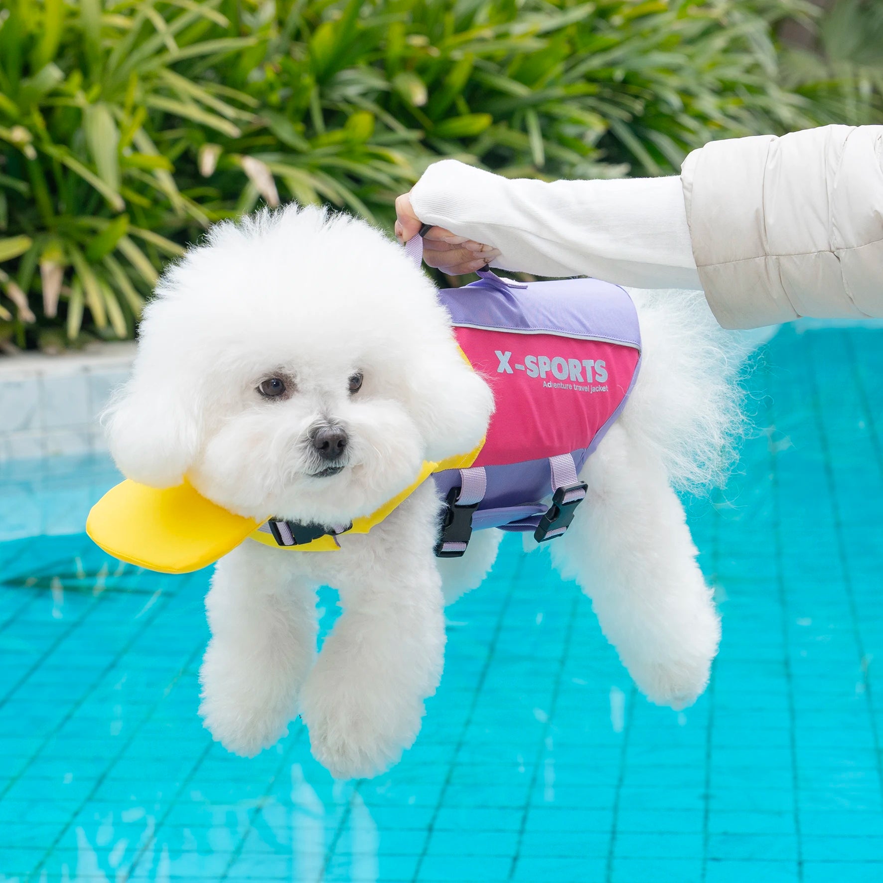 Adjustable Dog Life Jacket
