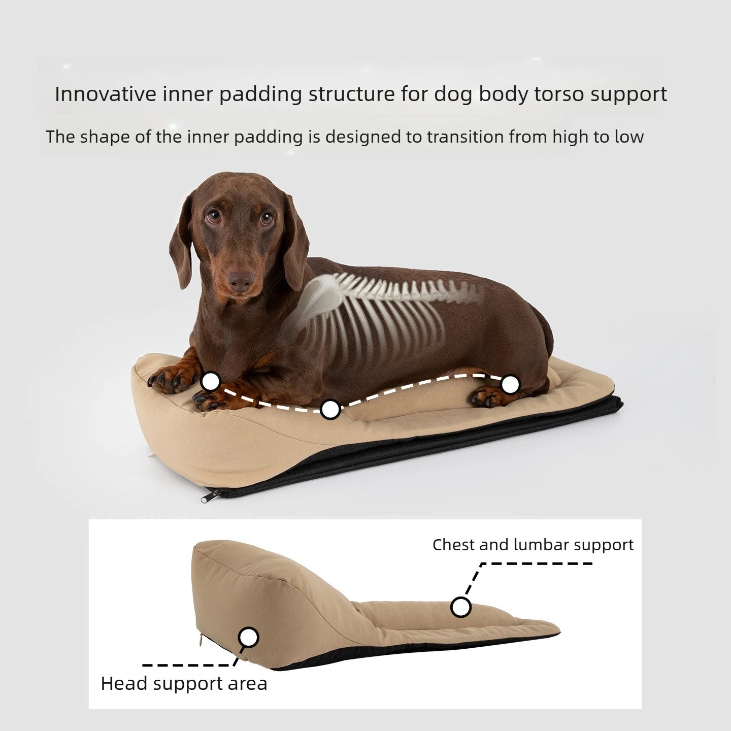 Dachshund Backpack Carrier – Nylon Dog Travel Bag