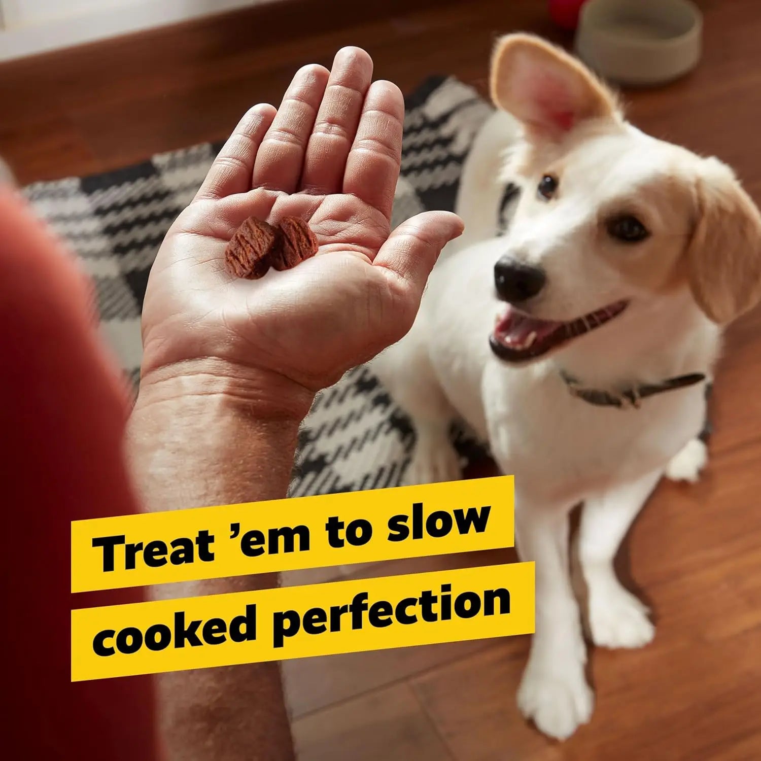 Premium Beef Jerky Treats for Dogs & Cats