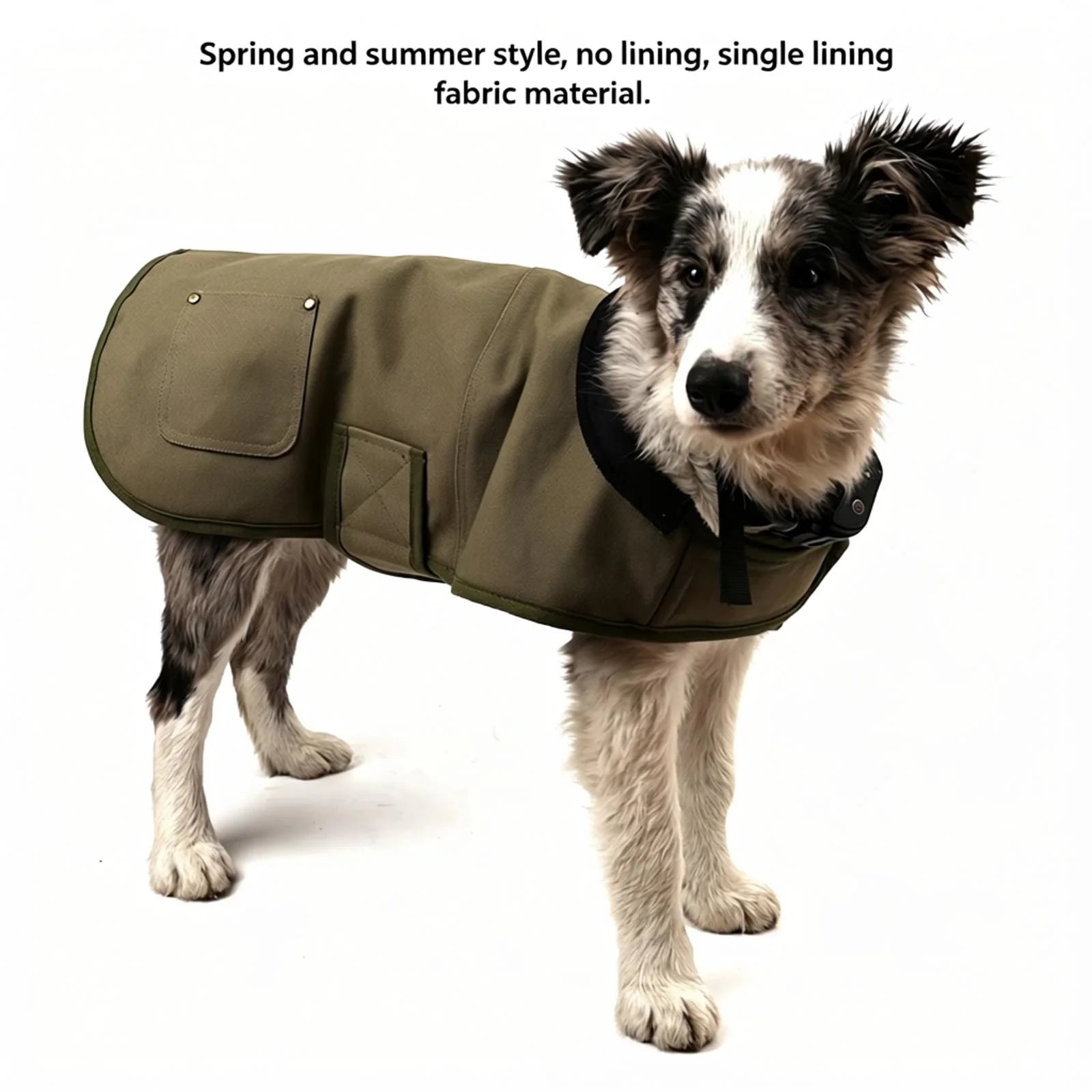 Lightweight Windproof Dog Jacket