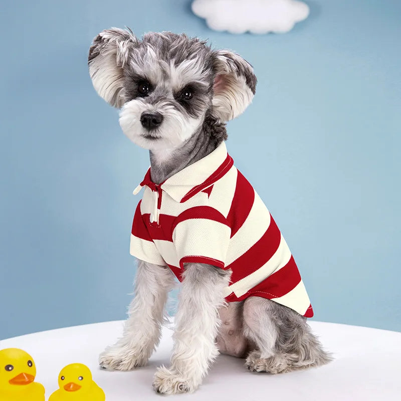 Casual Polo Shirt for Dogs & Cats