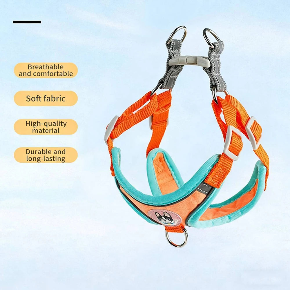 Adjustable Dog Harness & Leash Set