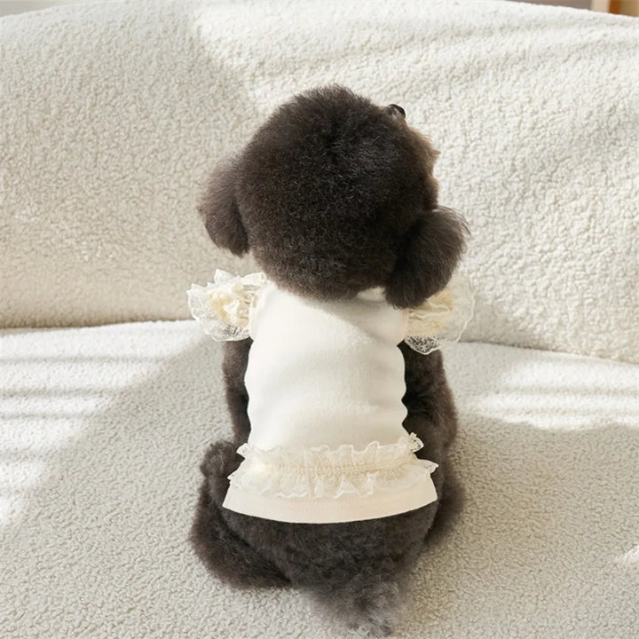Lace Summer Vest Dress for Dogs and Cats