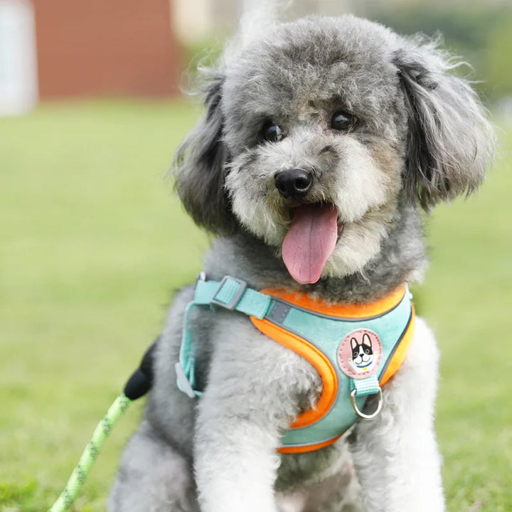 Adjustable Dog Harness & Leash Set