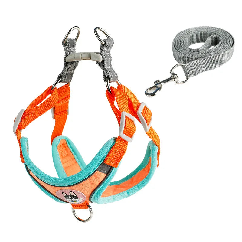 Adjustable Dog Harness & Leash Set