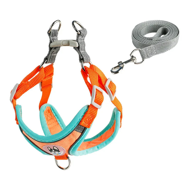 Adjustable Dog Harness & Leash Set