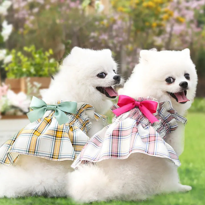 Checkered Princess Dress for Dogs & Cats