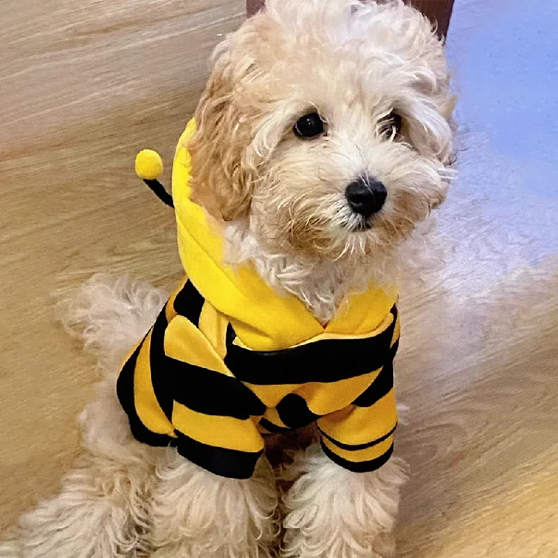 Cute Bee Costume Pet Hoodie & Sweater
