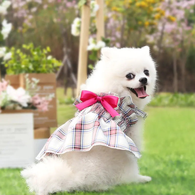 Checkered Princess Dress for Dogs & Cats