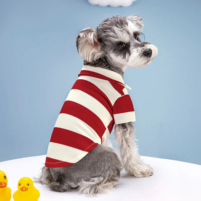 Casual Polo Shirt for Dogs & Cats
