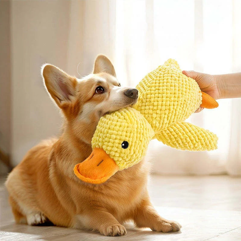 Plush Duck Dog Toy – Squeaky Teething Chew Toy