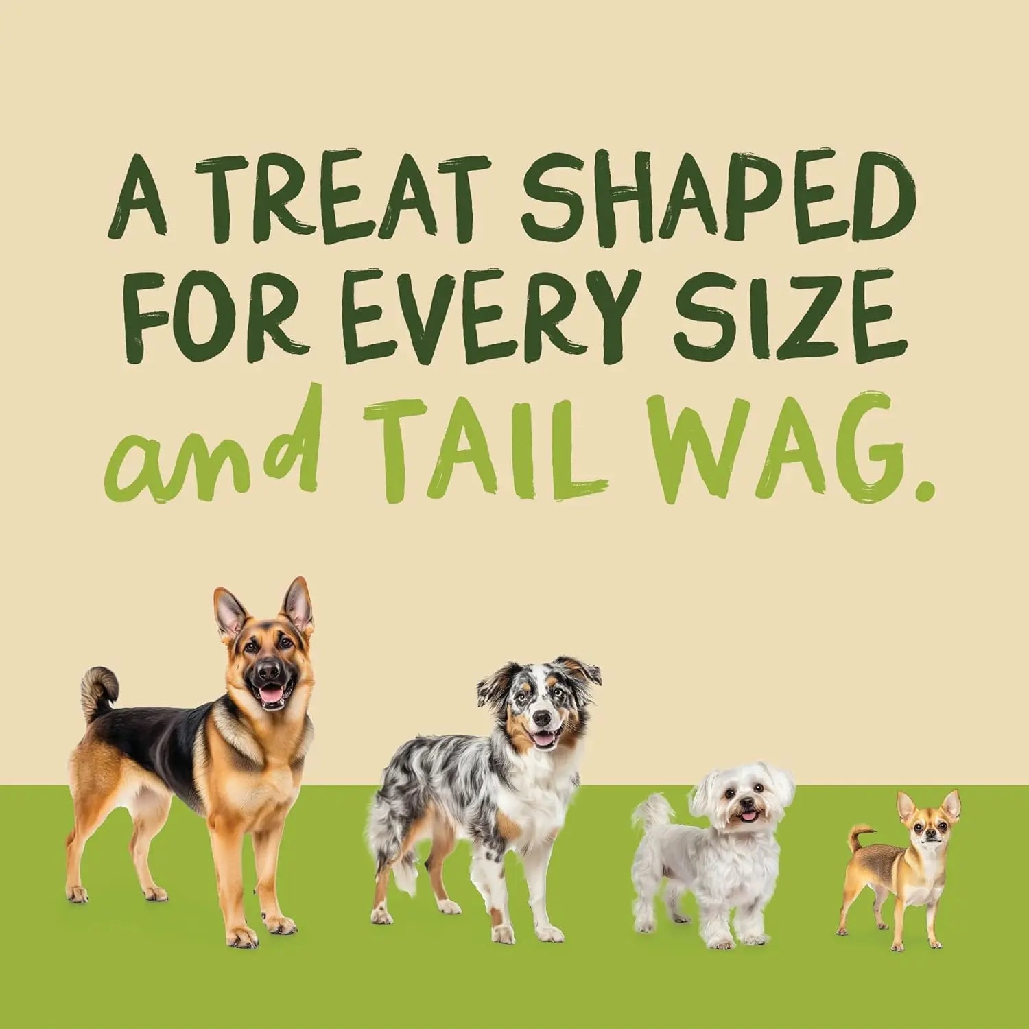 Premium Beef Jerky Treats for Dogs & Cats
