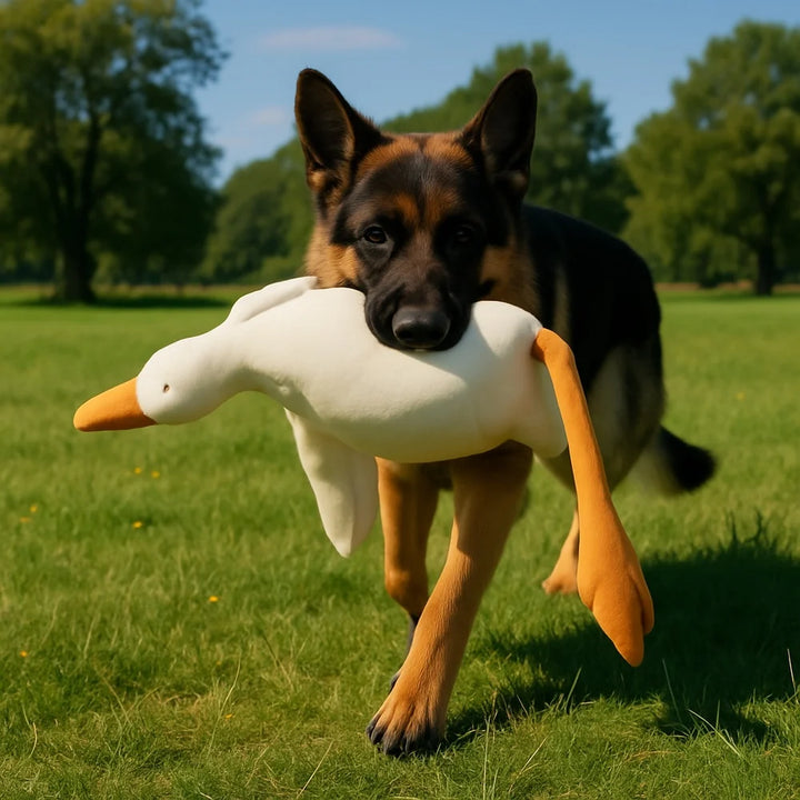 Large Plush Duck Dog Toy – Squeaky Chew & Play Toy