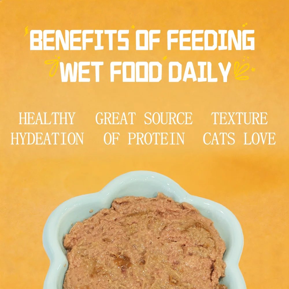 Mixed Flavor Canned Cat Food 170g
