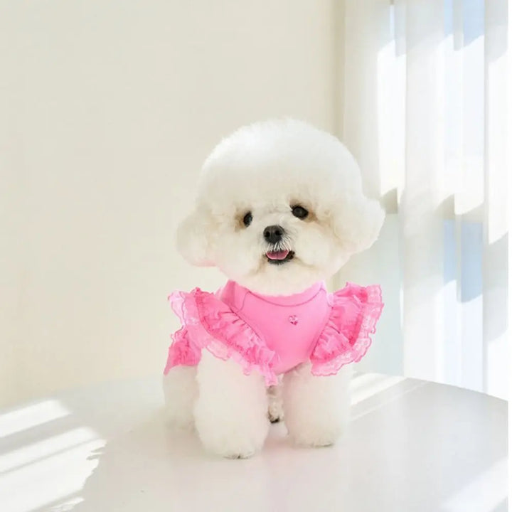 Lace Summer Vest Dress for Dogs and Cats