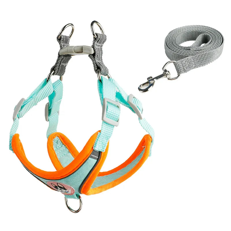 Adjustable Dog Harness & Leash Set