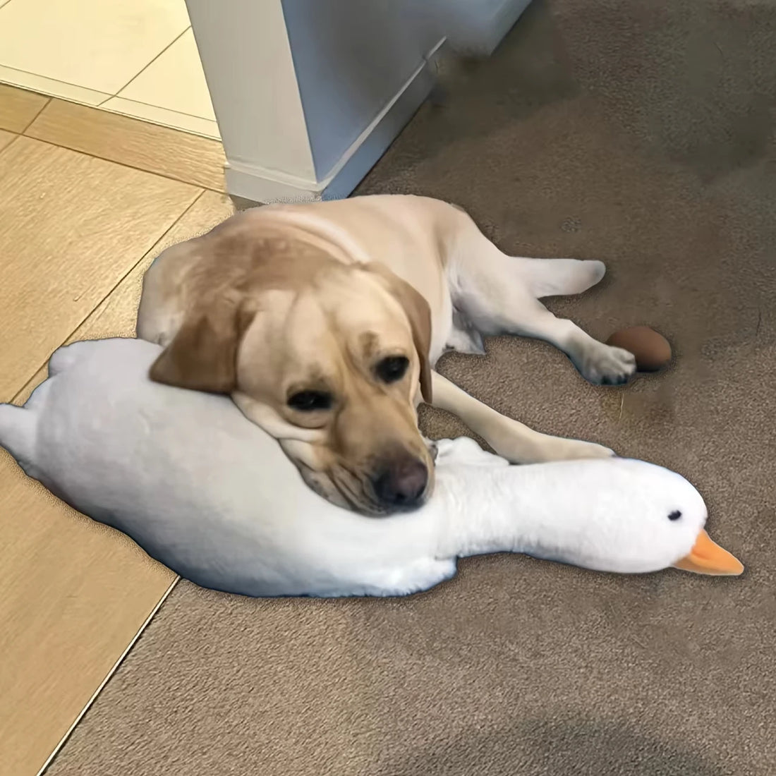 Large Plush Duck Dog Toy – Squeaky Chew & Play Toy