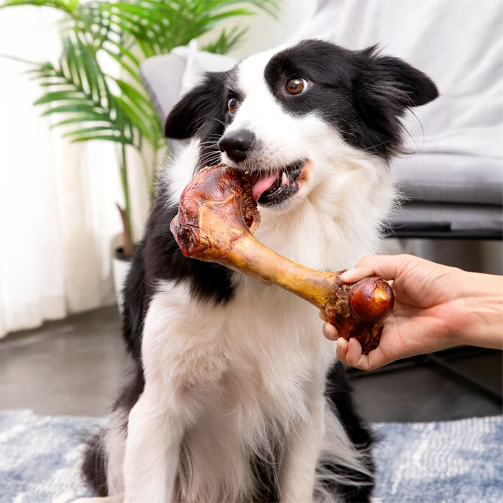 Natural Cow Bone Chew Treat for Dogs