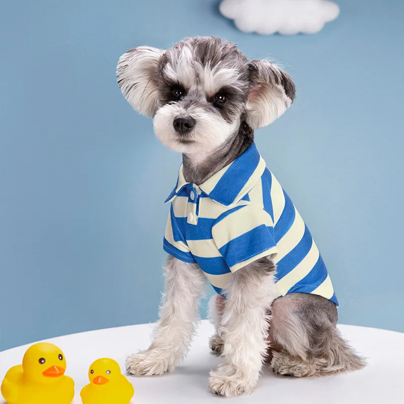 Casual Polo Shirt for Dogs & Cats
