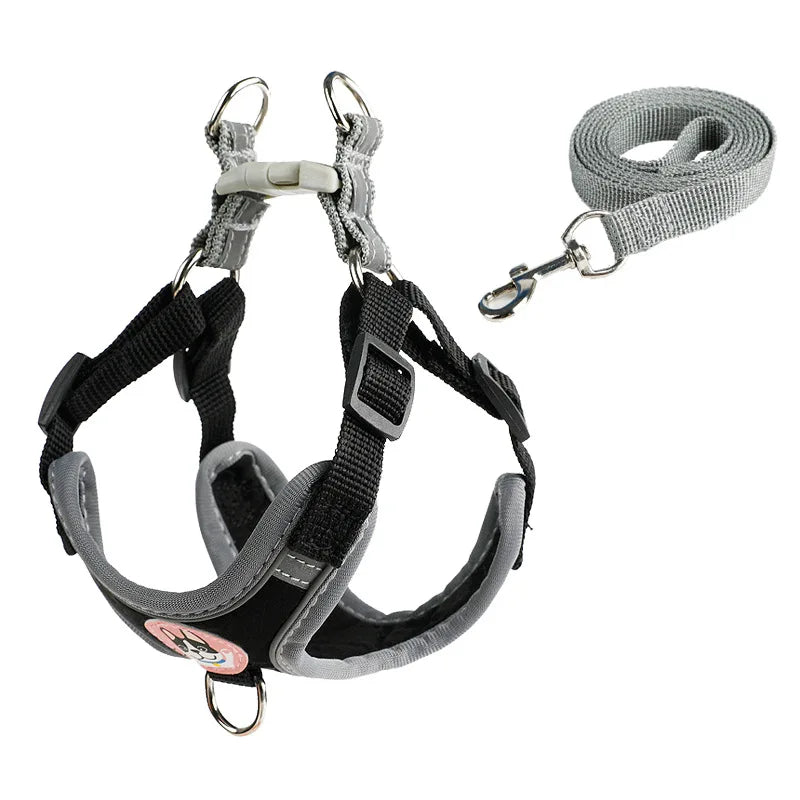Adjustable Dog Harness & Leash Set