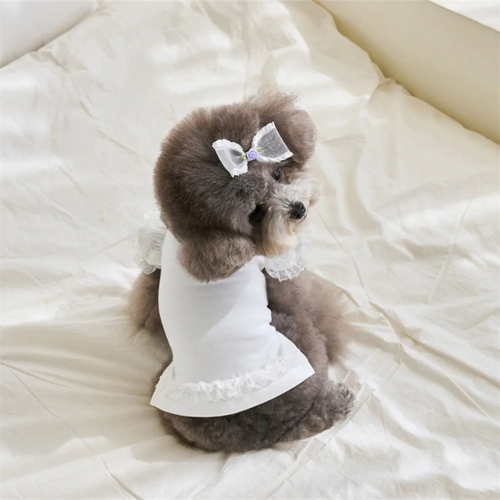 Lace Summer Vest Dress for Dogs and Cats